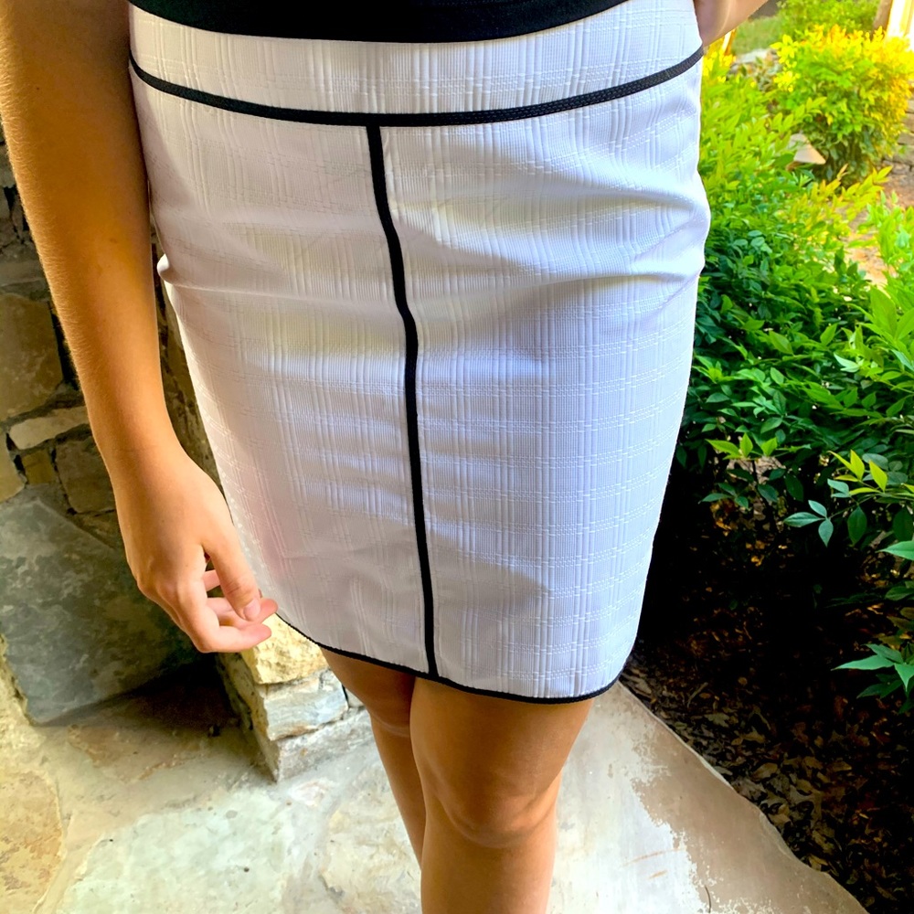 Ann Taylor Skirt